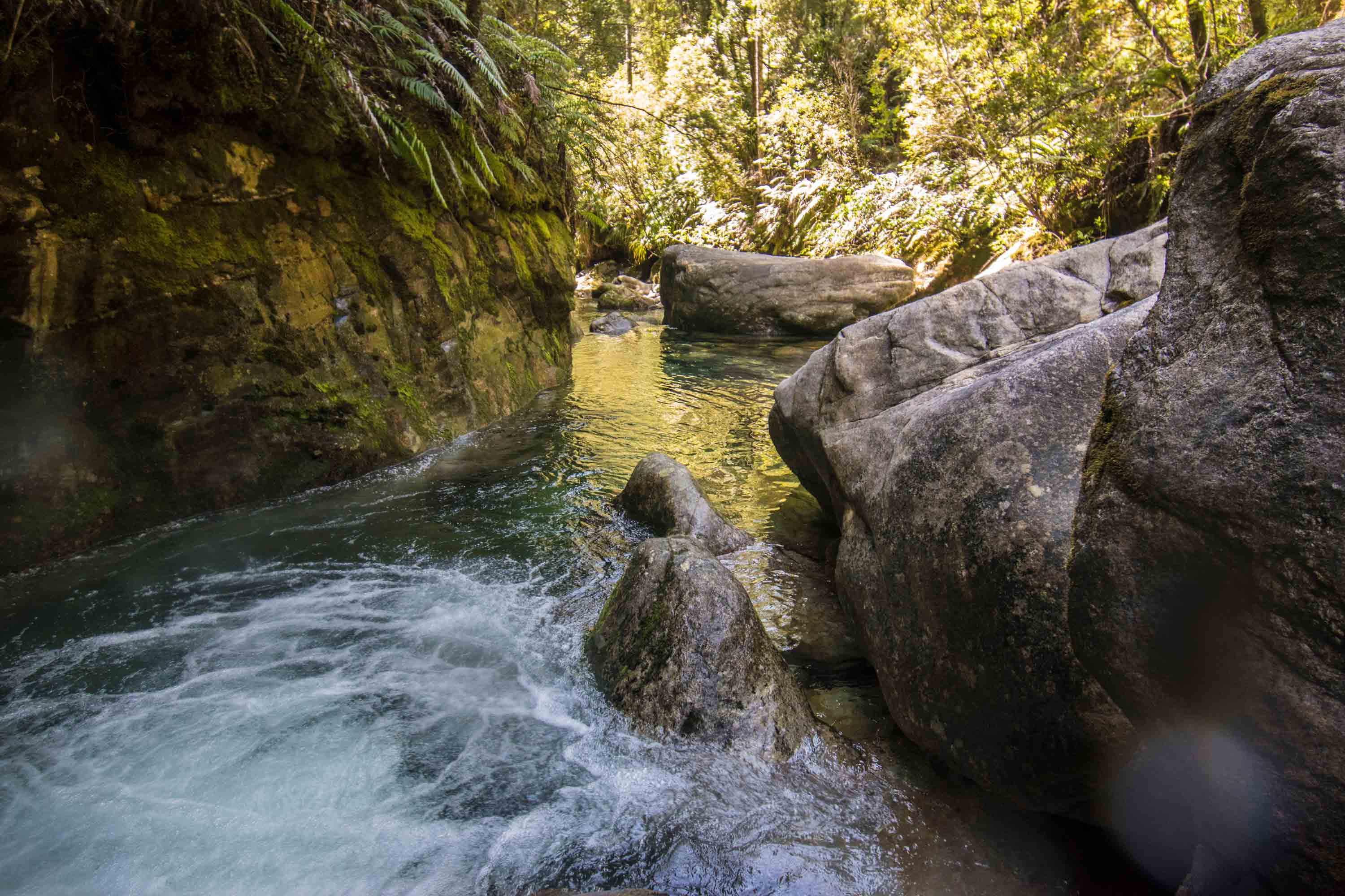 Campbell Creek Canyon NZ